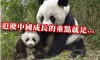 一張熊貓成長圖竟道出中國是如何發展國防勢力的