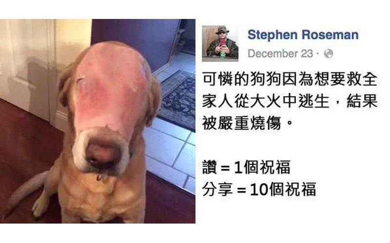 他把這張「火燒毀容狗狗」照片上傳後引起10萬人分享祝福，但是沒多久大家卻開始發現不對勁…
