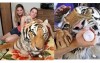 「世界上最愛老虎的一家人」他從馬戲團救出兩隻大老虎後就一路生活到生了一堆老虎寶寶