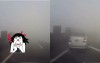 下一秒會出現什麼都不知..中國超狂網友勇猛全速前進「開進霧霾中」  影片點開所有人嚇傻..（圖+影）