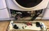 洗衣機真的會吃襪子！洗衣機運轉不正常，他決定拆開一看「竟炸出一堆襪子」！