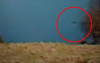 尼斯湖水怪現身遊客錄下「6公尺長水怪」沉浮畫面，10分鐘珍貴影像「官方認證了」