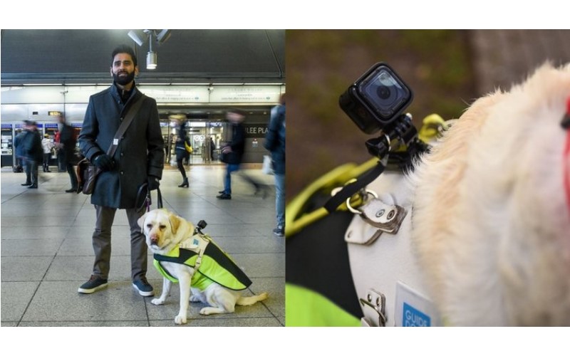 他察覺自己的導盲犬「常常感到害怕」…在牠背上裝GoPro後竟發現這「讓人心寒」的真相！