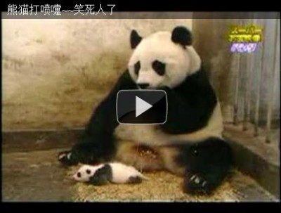 熊猫打喷嚏~~笑死人了。