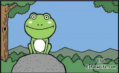 聰明的青蛙。