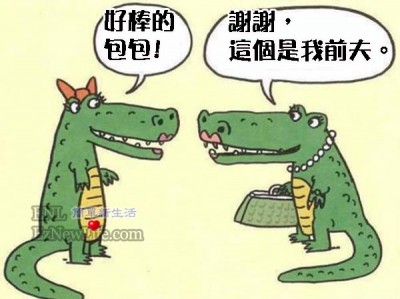 鱷魚夫妻如果離婚＆＃8230;.