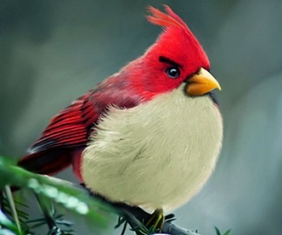 如果有小鳥在你身上拉屎，別急著生氣  因為．．．．．．