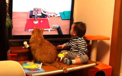 寶寶和小貓直勾勾的盯著電視節目，下一秒他們的神同步表情 ...萌萌噠