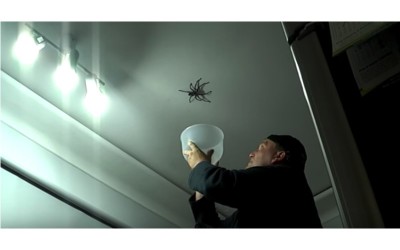 爸爸教孩子如何正確的抓蜘蛛..下秒徹底悲劇了