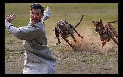 為什麼人被狗追時「只要一蹲下」狗就會落跑？網友：解開多年疑惑了！
