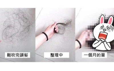 只有女生才能懂！女網友搜集「每天掉的頭髮」，1個月後「超誇張髮量」讓她超崩潰：這是真的